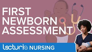 Initial Assessment of the Newborn Physical Exam  Lecturio Care of Childbearing Family [upl. by Schlosser]