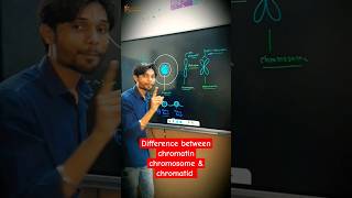 What is the difference between chromatin chromosome amp chromatid 🔥😎 biology cbse k2institute [upl. by Icaj]