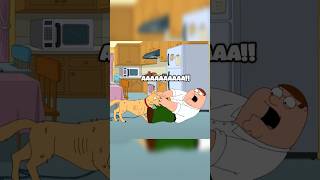 Stewies wish💀 familyguy stewiegriffin petergriffin [upl. by Fillender]