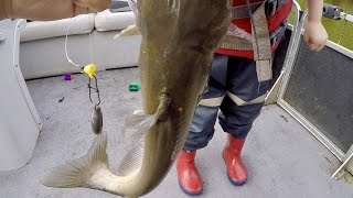 How to Catch BIG Catfish  Baits Rigging Cast Net Tutorial and Location ft Catfish and Carp [upl. by Cherida148]