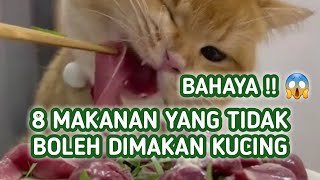 Makanan yang Tidak Boleh Dimakan Kucing Bahaya [upl. by Jaal]