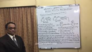 Lecture 806Topic AROMATIC ARSENICAL DRUG ATOXYLSALVARSAN [upl. by Burget]