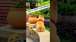 🐶 Dogs Being Dog Gone Hilarious Part 45 🐾😂 funny [upl. by Nylessej]