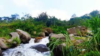 calming blue mountain stream Relaxing river sounds white noise for sleeping meditation ASMR [upl. by Olihs]