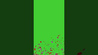 Confetti Burst Green Screen Effect with Sound  HD  FREE DOWNLOAD [upl. by Barbaresi211]