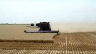 Five Combines Working in Scott City Kansas July 2008 [upl. by Ramirolg]