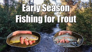 Early Season Dry Fly Fishing [upl. by Aiseneg]