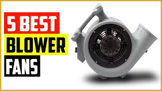 Top 5 Best Blower Fans For Home Use Reviews in 2022 [upl. by Leumhs]