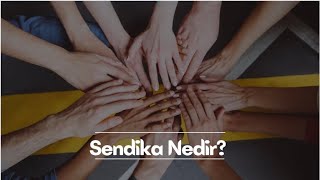 Sendika Nedir [upl. by Paryavi]