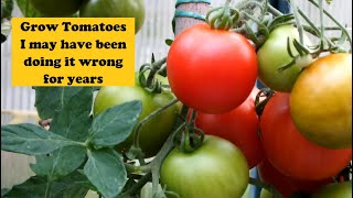 Grow Tomatoes Have I been doing it all wrong for all these years Lets try a little experiment [upl. by Mikeb577]