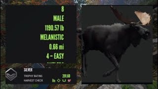 How I MESSED UP My FIRST RARE Moose  420 Special  theHunter Call of the Wild [upl. by Ordnassela]