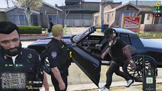 Why fleeing from the police is a dumb idea  LSRP Cops  Episode 9 [upl. by Nosille]