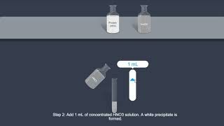 Protein  Xanthoproteic test [upl. by Lledrac]