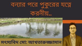 বন্যার পরে পুকুরের যত্নে করনীয় Pond maintenance after flood [upl. by Kylynn516]