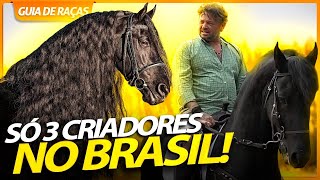 FRIESIAN UM CAVALO QUE QUASE FOI EXTINTO  RICHARD RASMUSSEN [upl. by Aitselec]