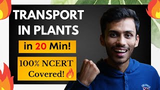 Transport in Plants FAST One SHOT🔥  Fast Revision in 20 Min  NCERT Line to Line  Class 11  NEET [upl. by Ibob]