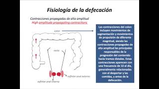 Fisiología de la defecación [upl. by Zabrina]