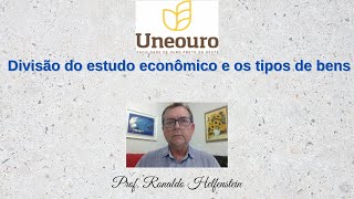 Os tipos de bens e a divisão do estudo econômico [upl. by Mich296]