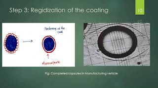 Microencapsulation by Coacervation Phase Separation Surawase Sir [upl. by Marice]