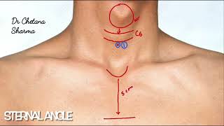 Surface marking of trachea [upl. by Rodgiva]