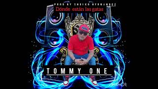 dónde están las gatas DJ Tommy one 🇸🇻 [upl. by Aidyl]