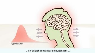 ADHD  Kenmerken en verschil met ADD [upl. by Allez]