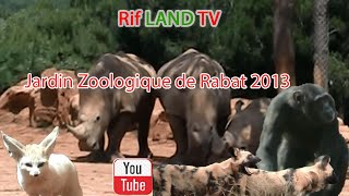 Jardin Zoologique de Rabat 2013 [upl. by Deth]