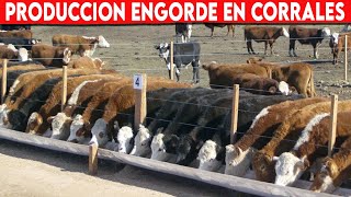 🔴 Sistema De Producción ENGORDE EN CORRALES De GANADO Vacuno ✅ Vacas Lecheras y Doble Propósito [upl. by Brook526]