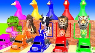 5 Giant Duck Cartoon Cow Elephant Tiger Dinosaur Paint Wild Animals Crossing Fountain Animation 1289 [upl. by Dibru]