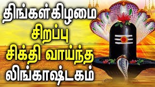 Powerful Lingashtakam Changed Your Life After Worshipping Lord Shiva  Best Tamil Devotional Songs [upl. by Animar]