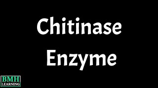 Chitinase Enzyme  Chitin Degrading Bacteria  Chitinolytic Bacteria  Chitinolytic Microorganisms [upl. by Beaumont]