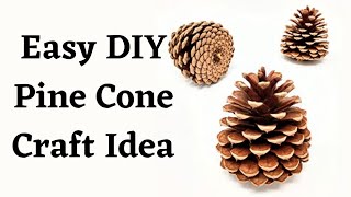 Pine Cone Hanging Decorations  DIY Pine Cone Decoration Ideas [upl. by Anaitat]