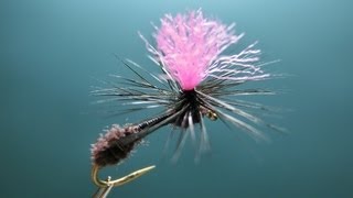 Fly tying Parachute Ant パラシュートアントをフライタイイング quotFlyTiers Eyes No7quot [upl. by Ahsinaj]