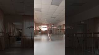 Some turns balletdance ballerinas balletclass ballerinadance ballerina dancer balletdancer [upl. by Illib]