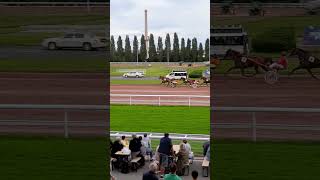 Hippodrome dAmiens course trot régionale [upl. by Anyt]