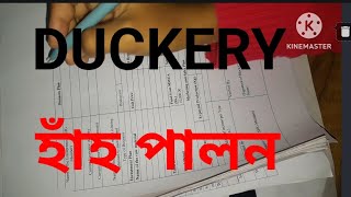 SHG business plan Duckery হাঁহ পালন আত্ম সহায়ক গোটৰ Frm Fillupshg duckery business plan [upl. by Klarrisa]