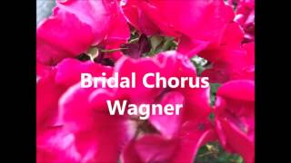 Wagner  Bridal Chorus [upl. by Theodora]