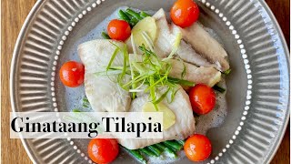 Ginataang Tilapia  Fish Fillet in Coconut Milk [upl. by Gies]