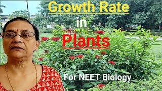 Growth Rate in Plants Plant Growth amp Development [upl. by Gloria582]