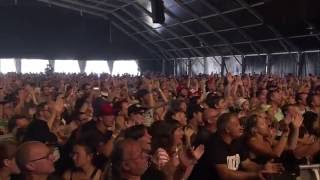 André Brasseur amp Band  Early Bird  Live at Pukkelpop 2016 [upl. by Haeel]