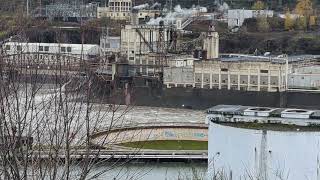 Willamette Falls Raging [upl. by Adriel425]