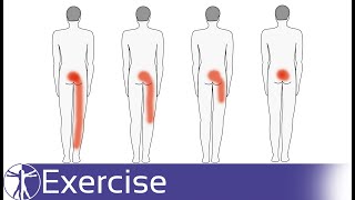 Direction Specific Exercises for Low Back Pain  Directional Preference [upl. by Atrebla]