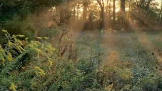 EnyaOrinoco flow geniet van de muziek en de natuur [upl. by Artiek]