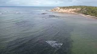 Barwon Heads 4k and 4k drone [upl. by Camm]