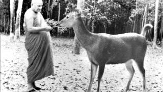 Ajahn Chah  Toward The Unconditioned [upl. by Ruby]