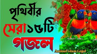 মধুর কন্ঠের ১৫ টি গজল  শুনলে জীবন বদলে যাবে ইনশাল্লাহ  Selected Gojol  Islamic Bangla gojol 2024 [upl. by Colombi669]