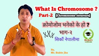 Structure Of Chromosome  ChromosomeStructure  In Nepali [upl. by Ahsieat]