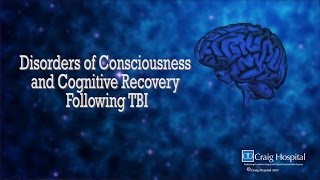 Disorder of Consciousness amp Cognitive Recovery Following TBI Levels 13 [upl. by Zonda]