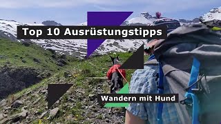 Wandern mit Hund Top 10 Ausrüstungstipps [upl. by Refotsirk]