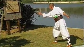 Shaolin Kung Fu hidden weapons 2 [upl. by Elysee570]